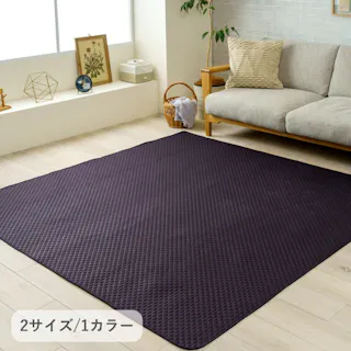 エスナ ブラック 190×190cm 1295610035945 カーペット ペット アウトドア PP【別送品】