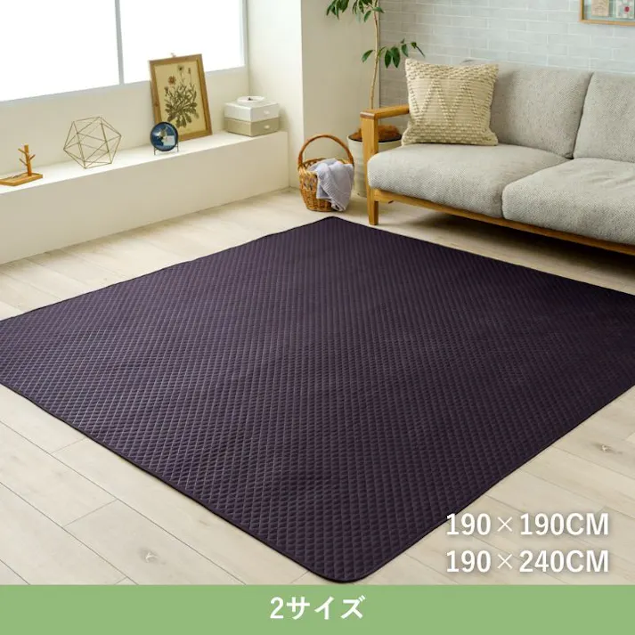 エスナ ブラック 190×190cm 1295610035945 カーペット ペット アウトドア PP【別送品】
