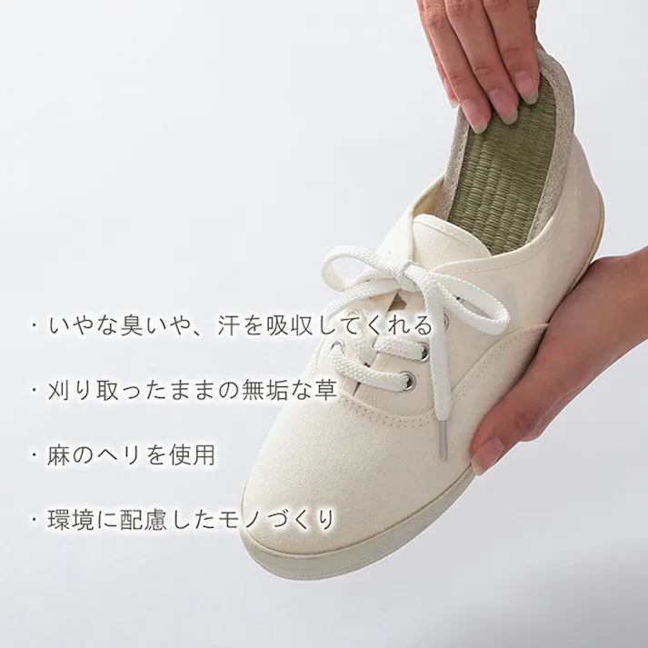 みらい 25cm 1122550010416 インソール い草【別送品】