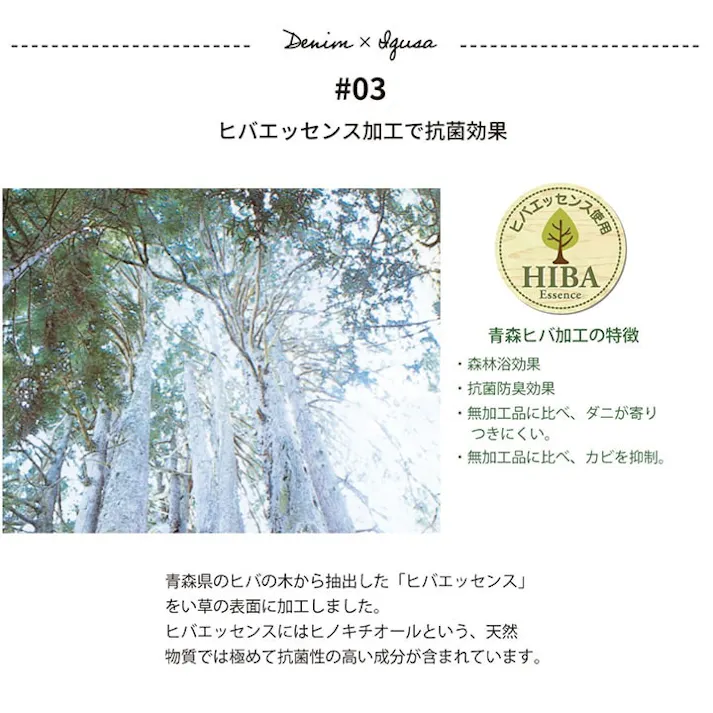 ジョイ グリーン 38cm丸 1140690122402 クッション 座布団 チェアパッド い草【別送品】