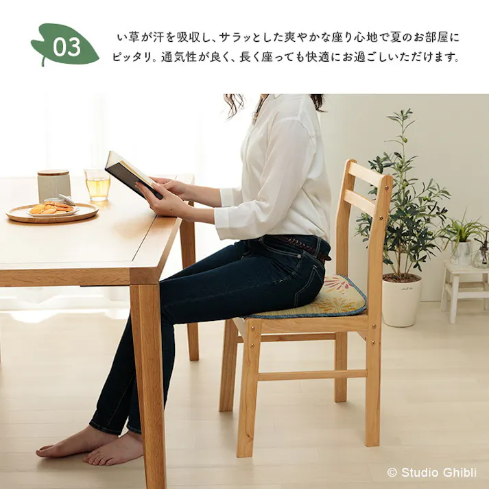 となりのトトロ 40×40cm 1141620010202 クッション 座布団 シート い草【別送品】