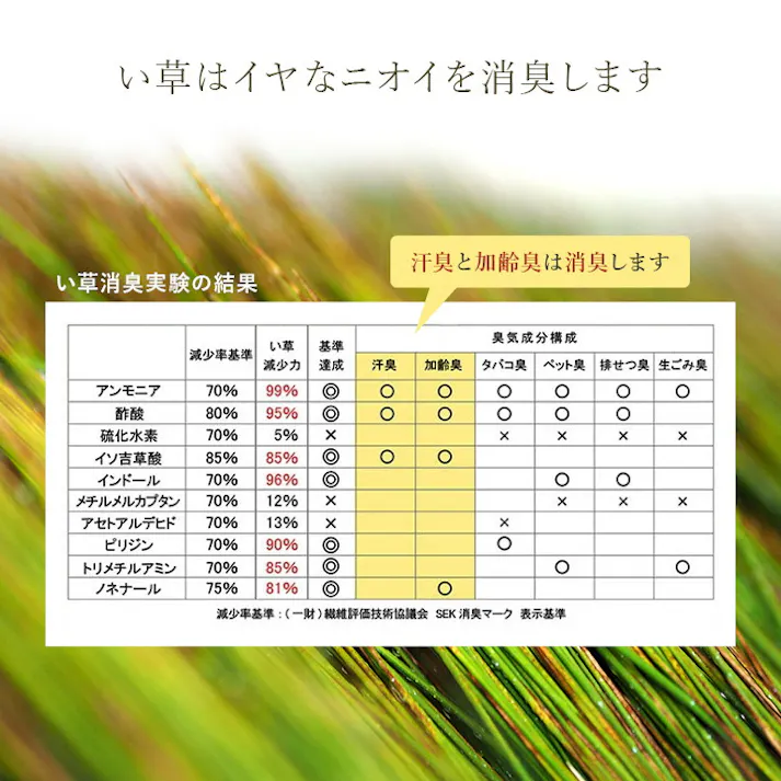 アスクドクター 30×50cm 1120220016332 寝具 枕 い草チップ【別送品】