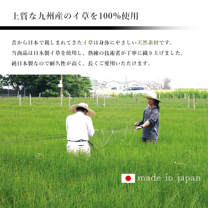 ラルフ ブルー 70×120cm 1080510044704 カーペット 玄関マット い草/ウレタン【別送品】