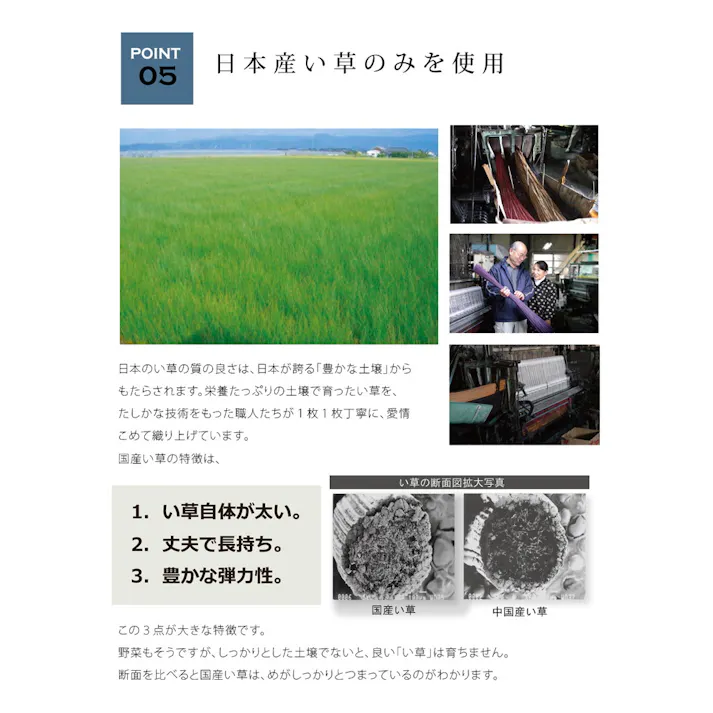 ジョイ グリーン 140×200cm 1051300122303 カーペット い草ラグ い草/ウレタン【別送品】