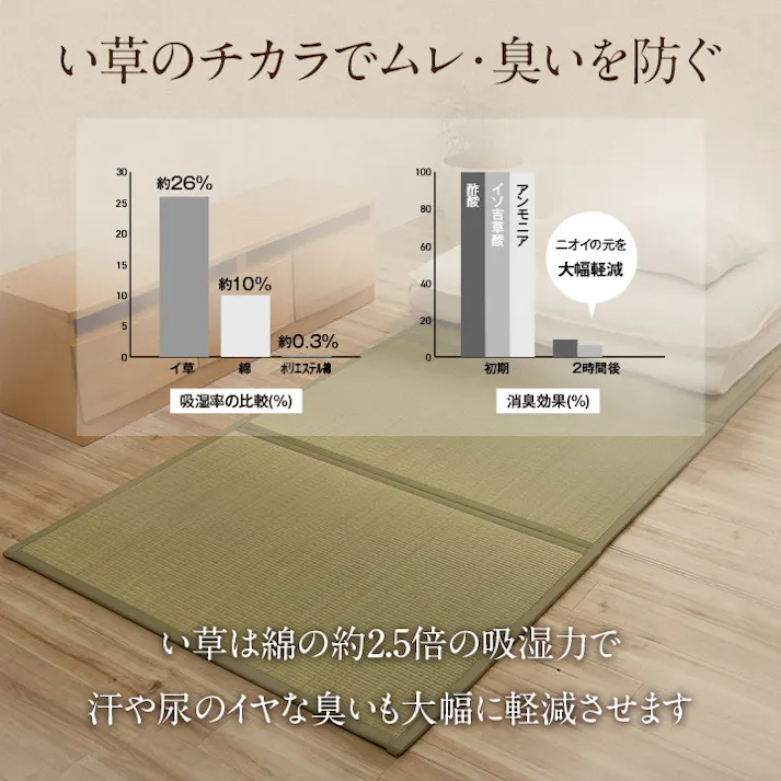 い草マットレスPRO 100×210cm 1360140011201 カーペット マットレス い草【別送品】