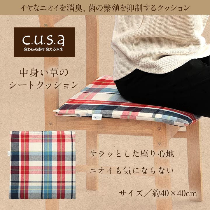 中身い草のシート 40×40cm 1360230010101 クッション 座布団 シート ポリエステル/い草【別送品】