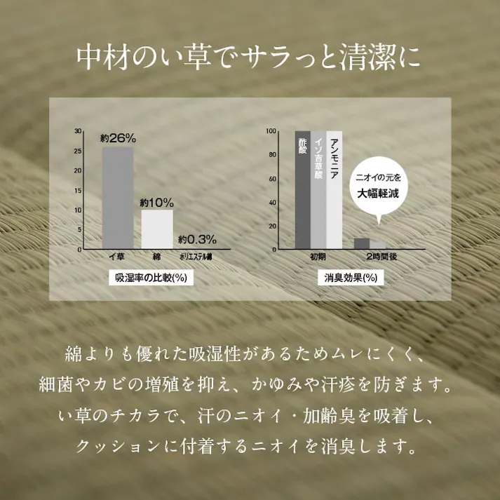 中身い草のシート 40×40cm 1360230010101 クッション 座布団 シート ポリエステル/い草【別送品】