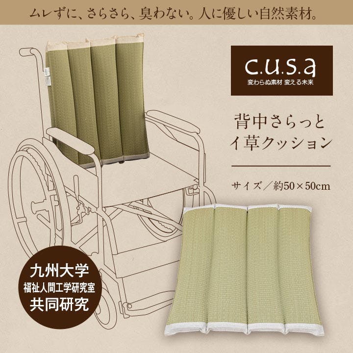 IKEHIKO イケヒコ 背中さらっとクッション 50×50cm