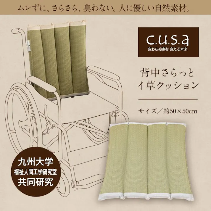 背中さらっとクッション 50×50cm 1360040010101 クッション 座布団 クッション い草【別送品】