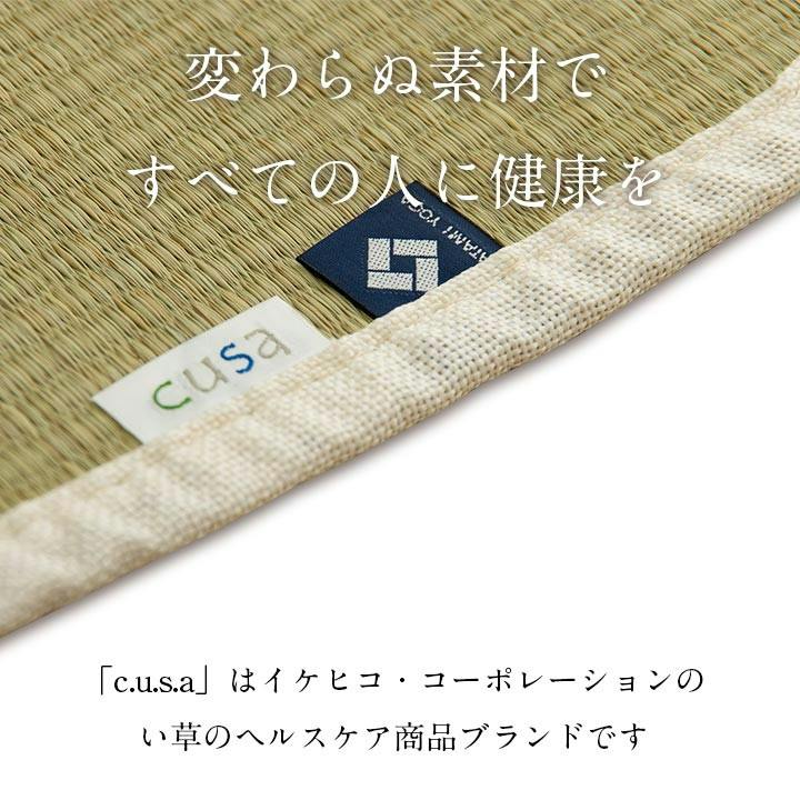 ロータス 60×180cm 1360200010801 マット ヨガマット い草【別送品