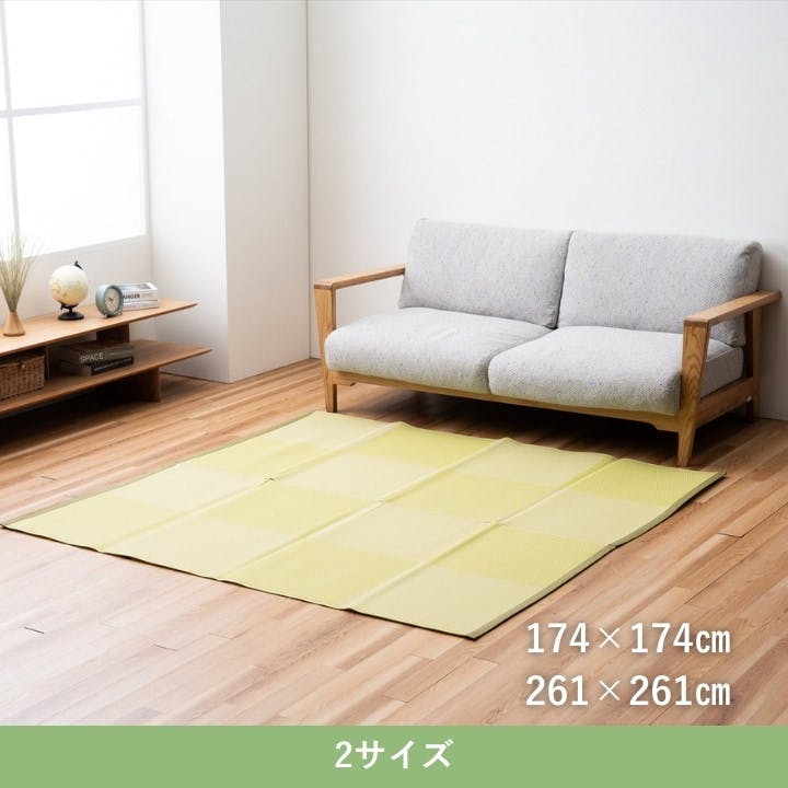 MAXIMUM SUPPORT INSOLES FORM Premium Insoles レディース ユニセックス・アダルト REINFORCED with EnduraHeel