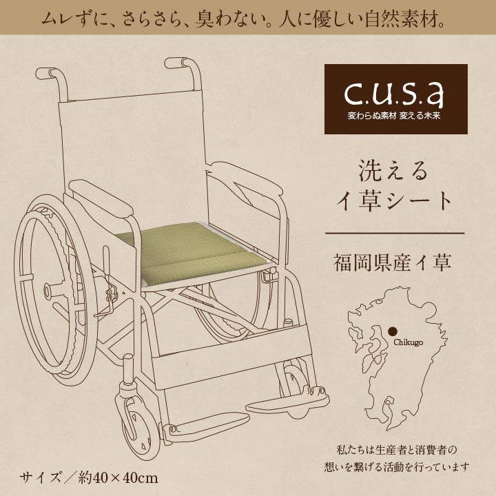 洗えるい草シート 40×40cm 1360010010101 クッション 座布団 クッション い草【別送品】