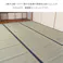 城山 カーペット・ラグ 約286×382cm 本間 上敷き ゴザ 1400261015602【別送品】