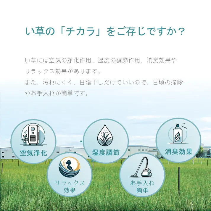 Fマルコス 玄関マット イエロー 約50×80cm 夏用 さらさら 玄関用 1080990294504【別送品】