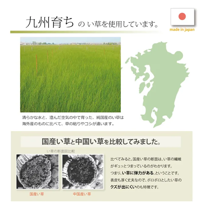 Fランクス 上がり框 玄関マット ネイビー 約35×90cm 夏用 さらさら 玄関用 1080030193904【別送品】