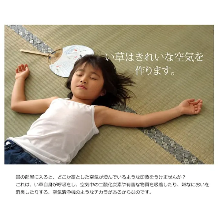 湯沢 カーペット・ラグ 約95×191cm 本間 上敷き ゴザ 1010050015102【別送品】