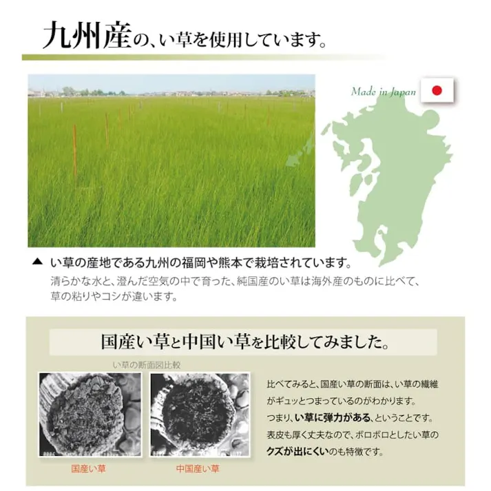 松 カーペット・ラグ 約88×176cm 江戸間 上敷き ゴザ 1010030012102【別送品】