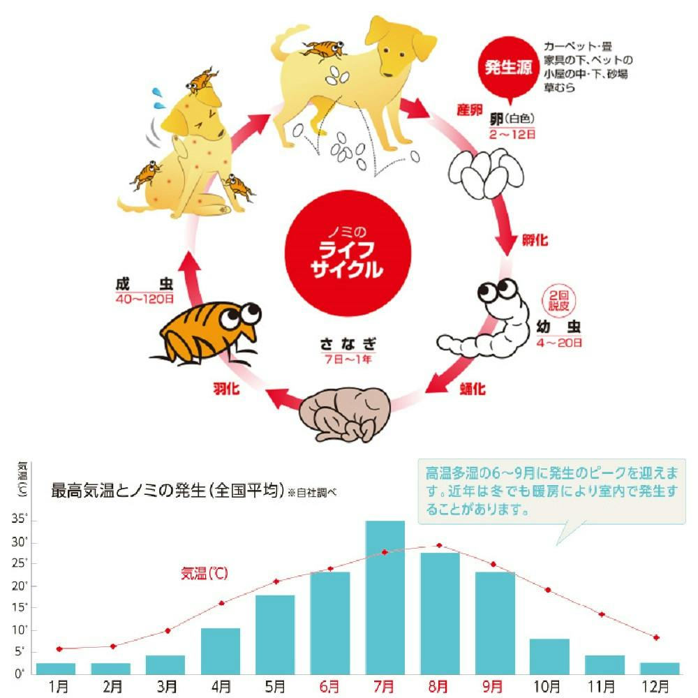 アース・ペット 薬用ショットオン大型犬用１本入り３．２ｇ