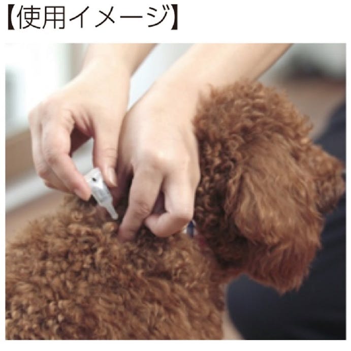 アース・ペット 薬用ショットオン大型犬用３本入り 4994527915007【別送品】