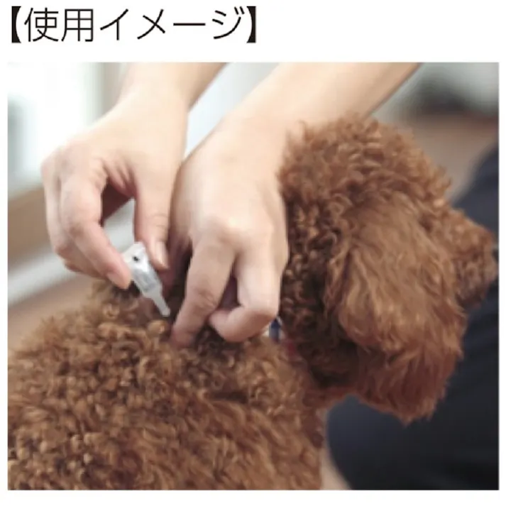 ショットオン 薬用ショットオン大型犬用3本入り 虫ケア ノミ 低臭 3140488001【別送品】