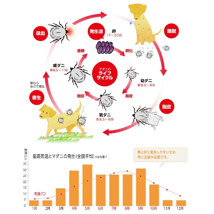 ショットオン 薬用ショットオン大型犬用3本入り 虫ケア ノミ 低臭 3140488001【別送品】