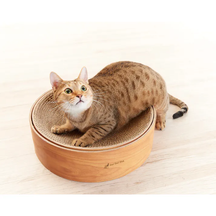 エイムクリエイツ ガリガリディッシュ スクラッチャー インテリア ティーブラウン 4540013511804【別送品】