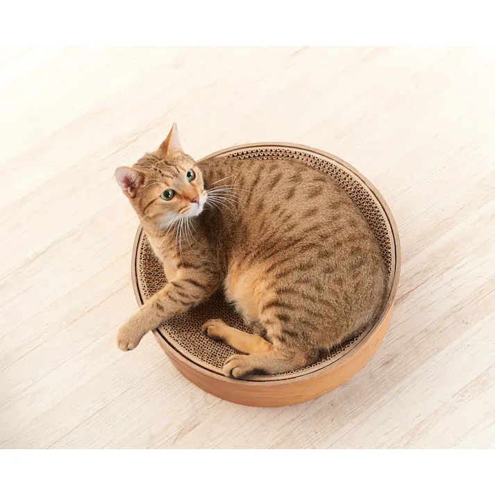 エイムクリエイツ ガリガリディッシュ スクラッチャー インテリア ティーブラウン 4540013511804【別送品】