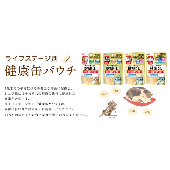 健康缶パウチ 15歳からのとろとろまぐろペースト40g パウチ シニア ペーストタイプ 3000778001【別送品】