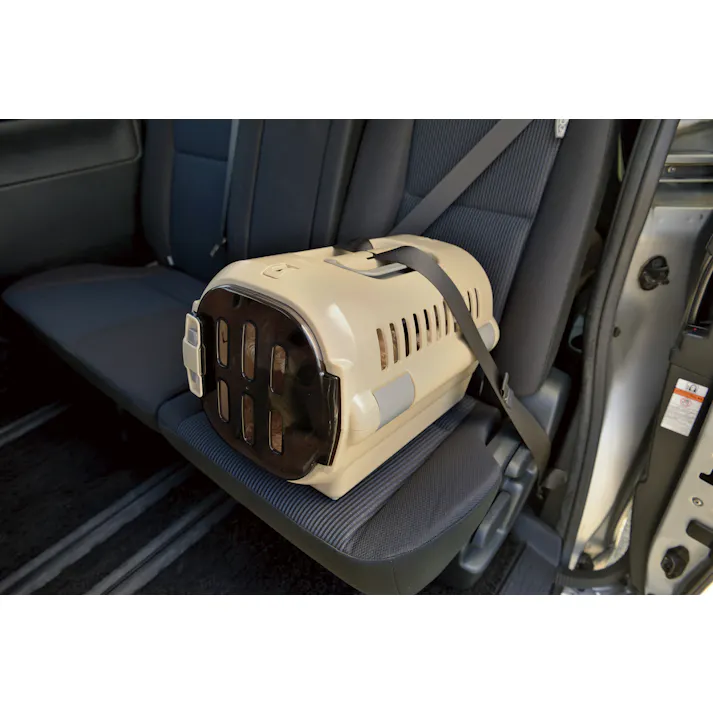 リッチェル キャンピングキャリーファインS BR 4945680561921【別送品】