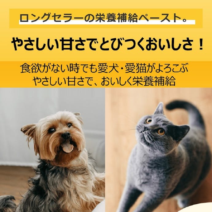 アース・ペット スタミノール子いぬ・子ねこ用１００ｇ 4994527917308【別送品】