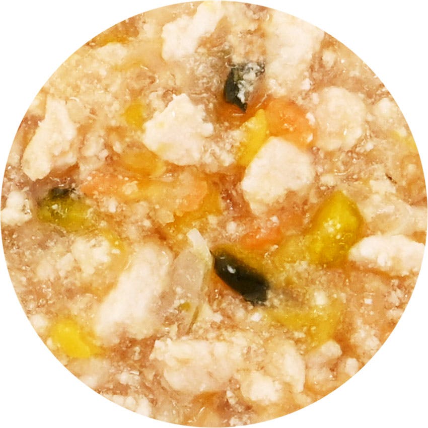 わんわん ちょいめしわかめちゃん80g 4532066006390【別送品