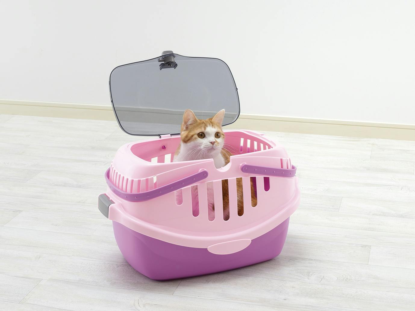 リッチェル ピコ キャットキャリーパープル 4973655585610【別送品