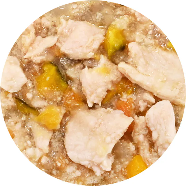 チョイめし とり肉とベジ480g 栄養補助 ペーストタイプ ドッグフード 5740226001【別送品】