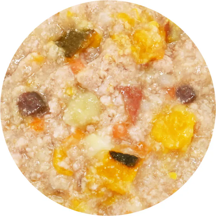 わんわん 犬日和レトルト 野菜が入ったとりぞうすい60g 4532066006901【別送品】