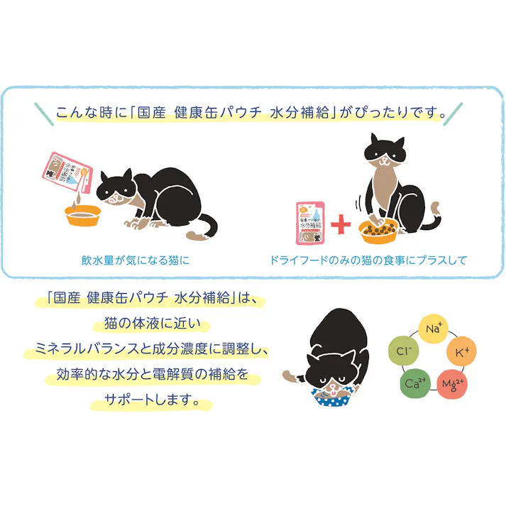 健康缶 国産 パウチ 水分補給 ささみフレーク40g パウチ ペーストタイプ 国産 3001123001【別送品】