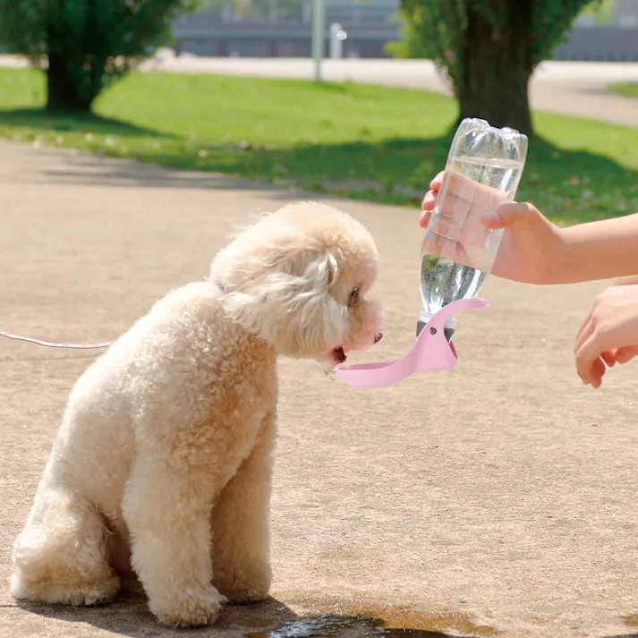 リッチェル お散歩ハンディシャワーS ライトピンク 4973655599587【別送品】