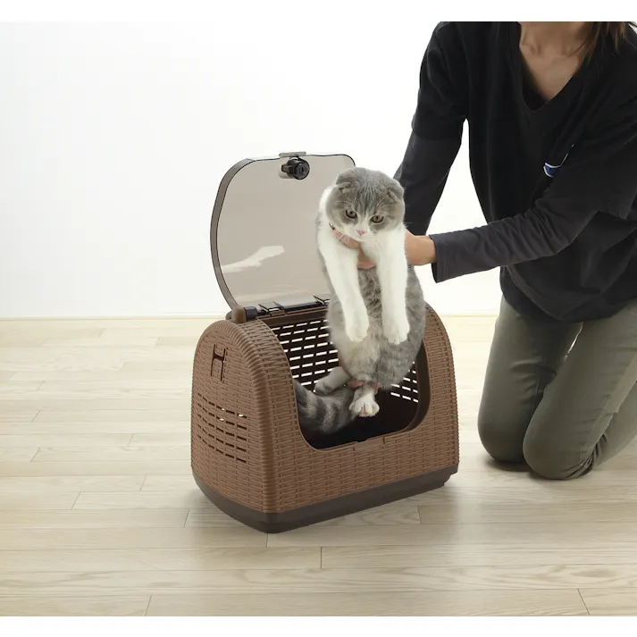 リッチェル ラタンキャリー BR 4945680566629【別送品】