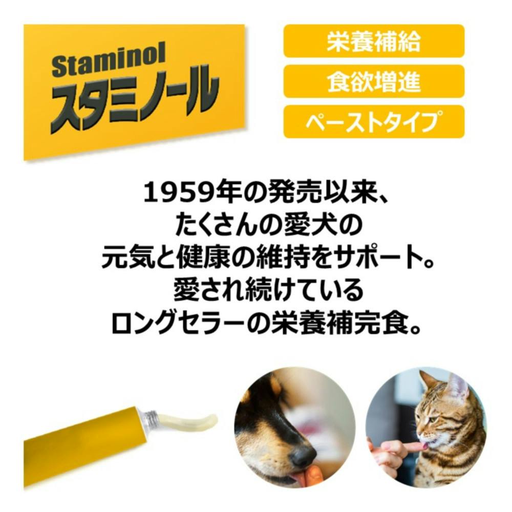 アース 犬用 栄養補給ペースト スタミノール 関節ケア 100g ×10個 (s6610002)