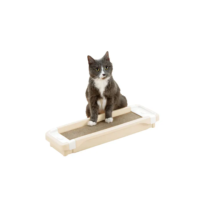 コロル 猫のツメみがき本体セット ベージュ またたび 傷防止 爪とぎ 2800775001【別送品】