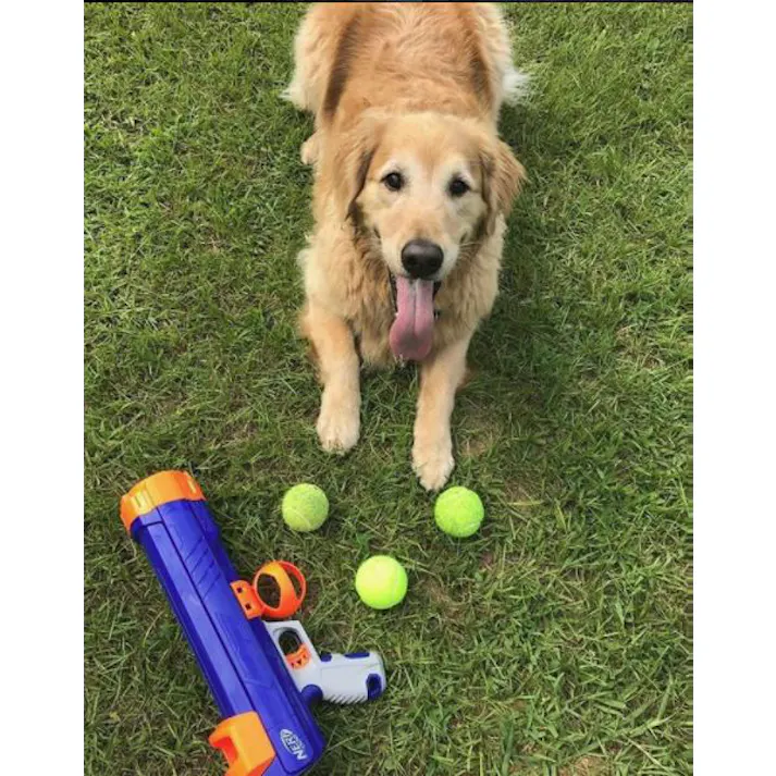 ナーフドッグ ストライクシューター 16i ナーフ おもちゃ アクティブ 2801100001【別送品】