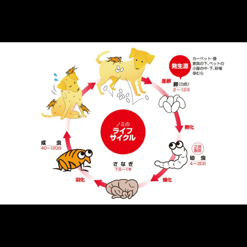 アース・ペット 薬用ノミ・マダニとり＆蚊よけ首輪 猫用ブルー 4994527878104【別送品】 | ペット用品（犬） 通販 |  ホームセンターのカインズ