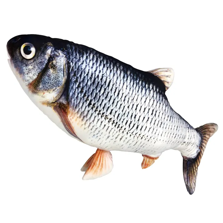 貝沼産業 BIGウグイ 4960222131318【別送品】