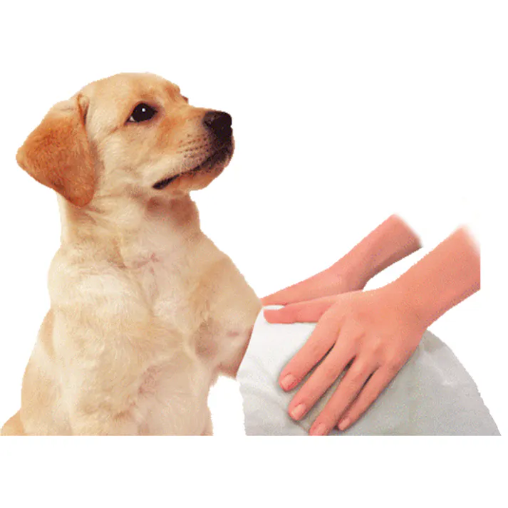 ハッピーペット シャンプータオル 中型・大型犬用15枚 被毛ケア ウェットシート 清潔 3140075001【別送品】