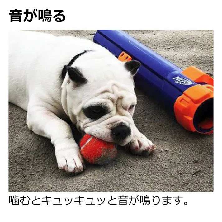 ナーフドッグ テニスボール 2.5i(4P) ナーフ おもちゃ アクティブ 2801104001【別送品】