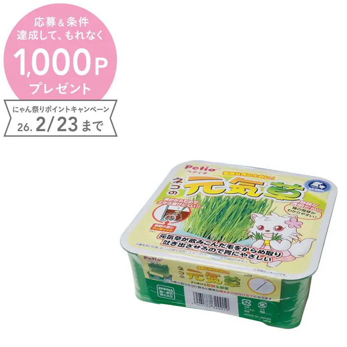 ネコの元気草Y201000 猫草 毛玉 生野菜 371524001【別送品】