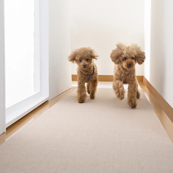 サンコー おくだけ吸着 ペット用床保護マット 60×180cmBE 4973381069132【別送品】