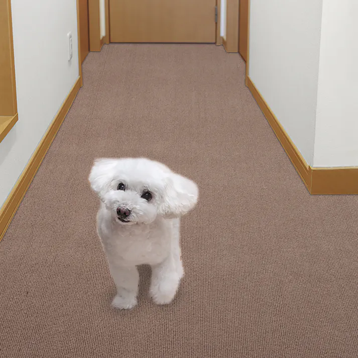 サンコー おくだけ吸着 ペット用床保護マット 60×240cmBR 4973381069255【別送品】