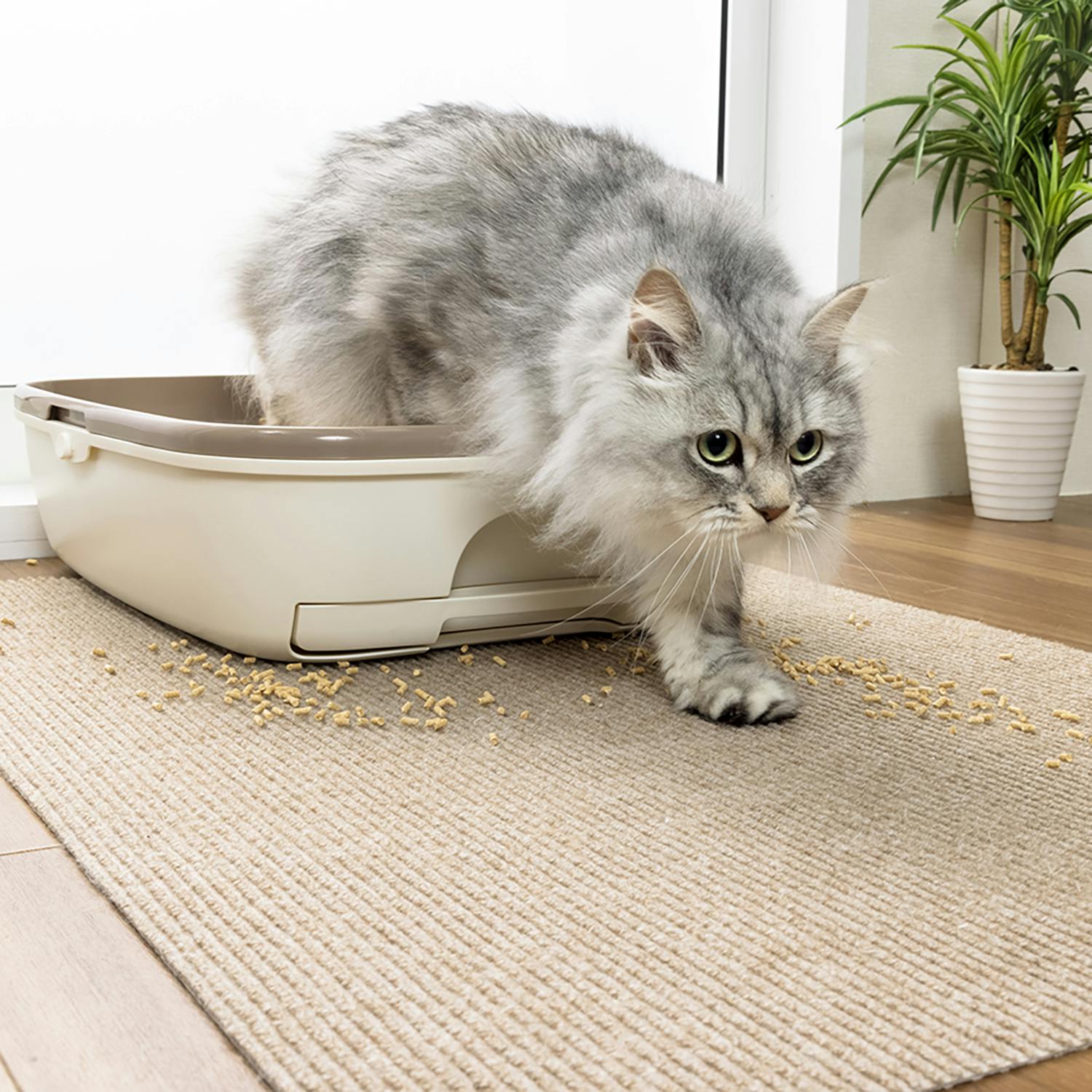 ディープスリープ猫のトイレ猫のトイレマット小型犬の犬小屋のペット