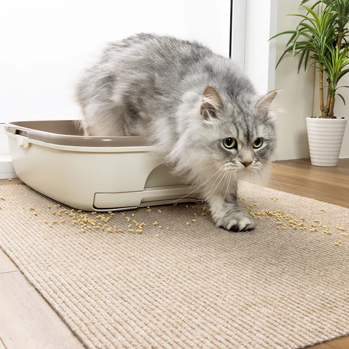 サンコー おくだけ吸着 おくだけ吸着猫のトイレ下敷きマット BE 4973381137398【別送品】