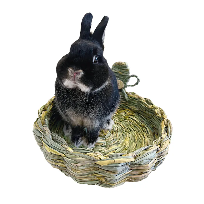 ハイペット 住処sumi-CA バスケットSサイズ 4977007036607【別送品】